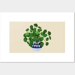 Pilea Peperomioides Posters and Art